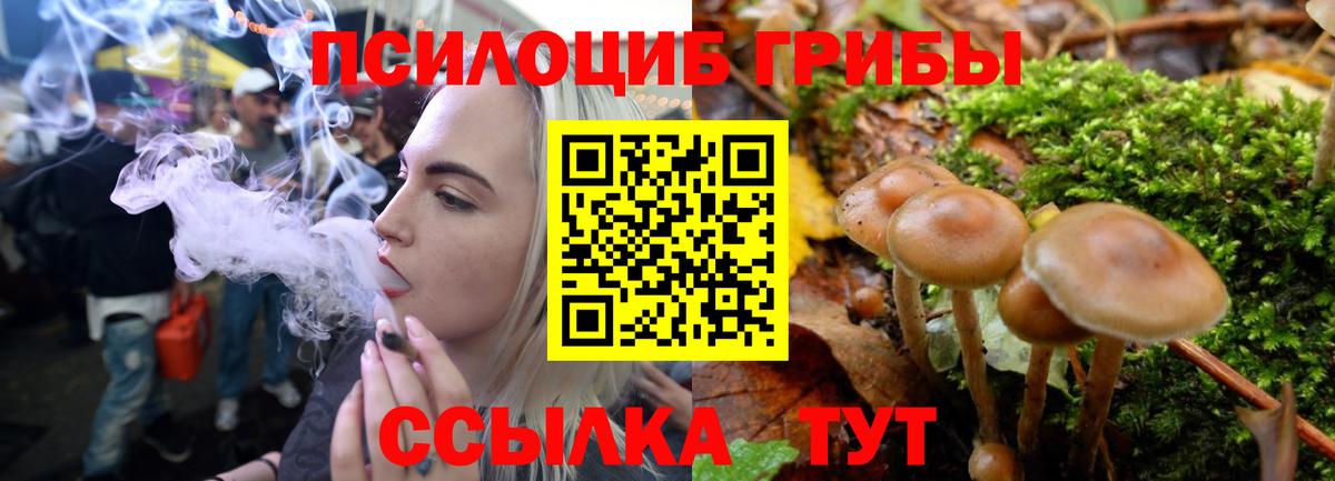 Галлюциногенные грибы GOLDEN TEACHER  Вход с VPN  Псилоцибиновые грибы GOLDEN TEACHER  Балашиха 