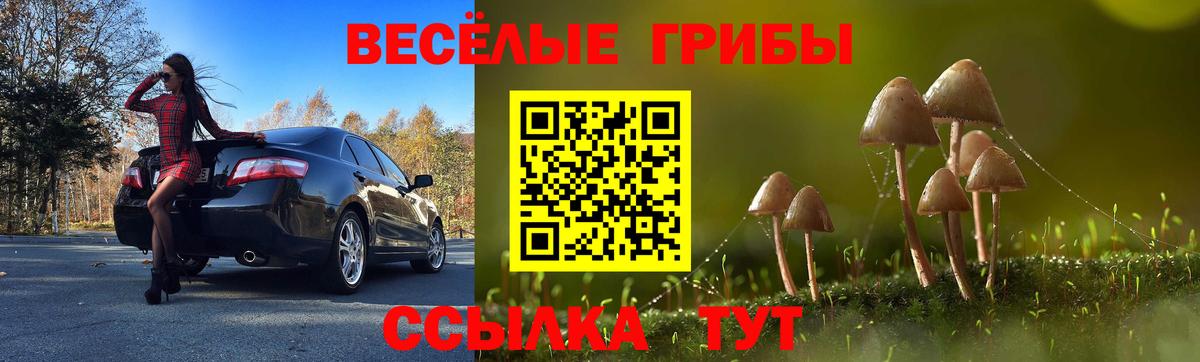 Псилоцибиновые грибы Cubensis Балашиха